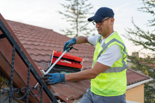 Best Blown-In Insulation  in Cold Springs, NV